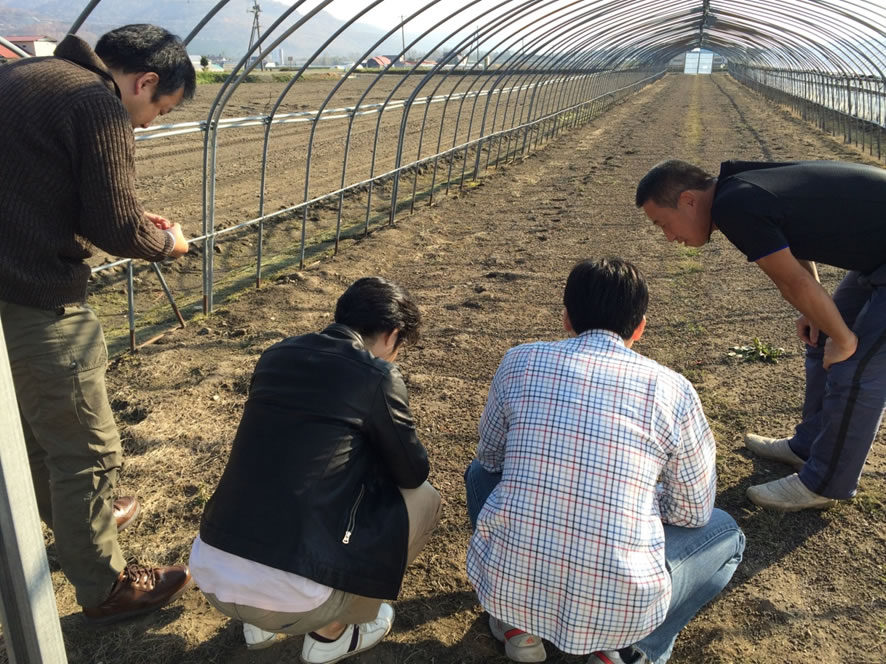 AMRブログ山川農園視察